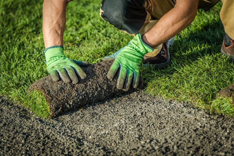 Sod Installation