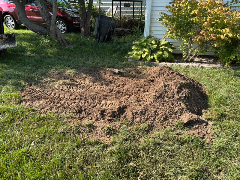 Stump Removal