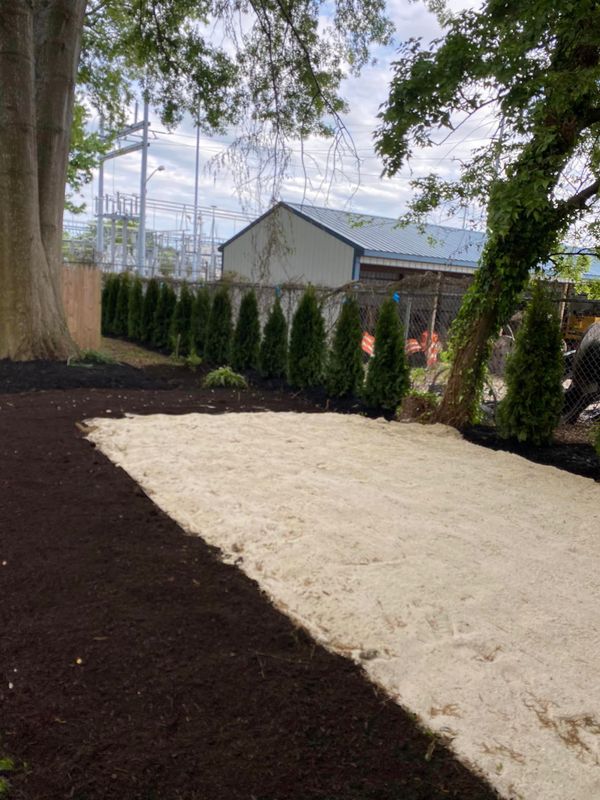 Pinestraw Installation