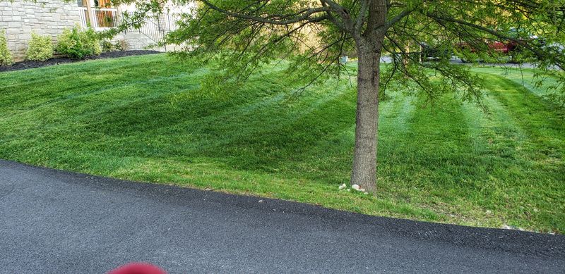 Lawn Maintenance