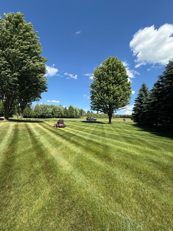 Lawn Maintenance