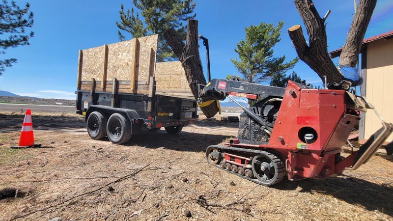Tree Removal