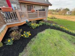 Landscape Design