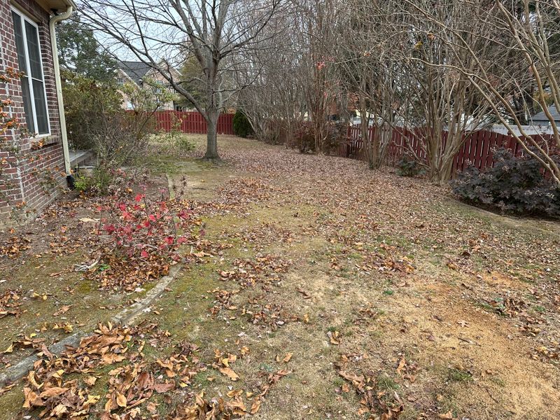 Leaf clean up