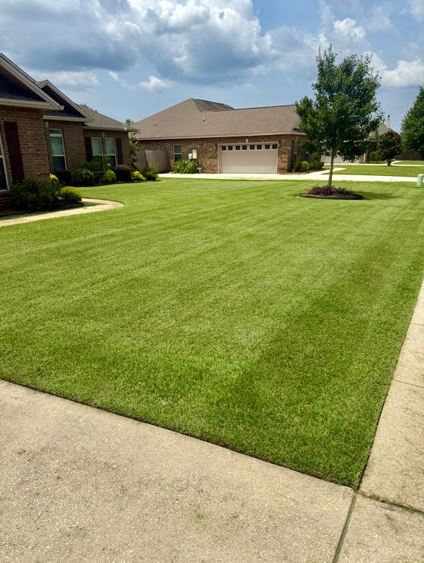 Sod Installation