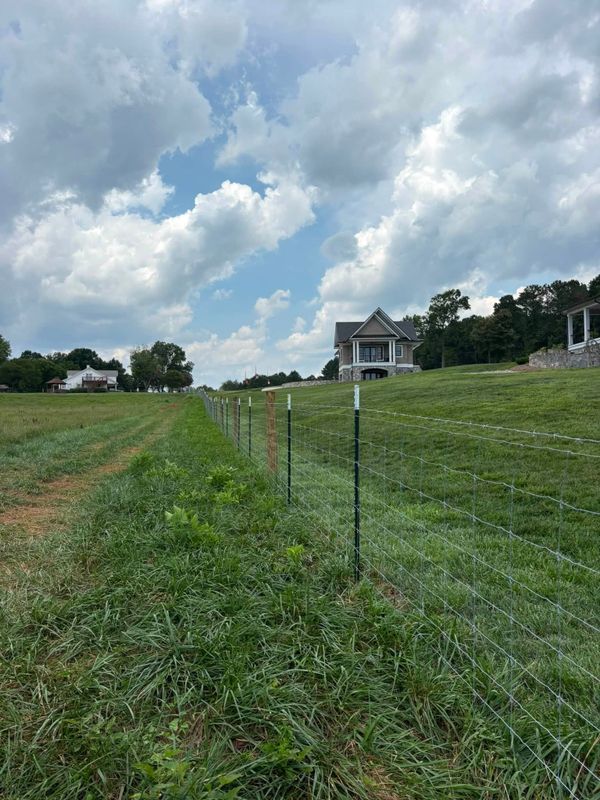 Privacy Fence