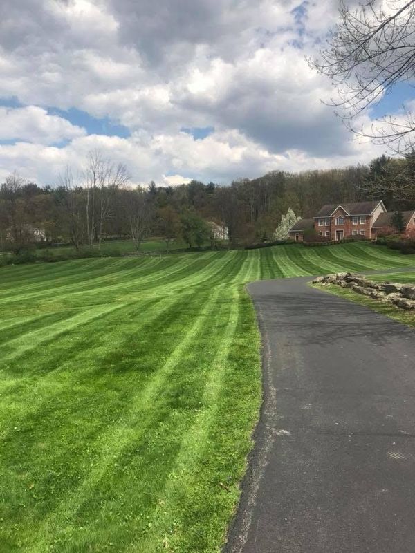 Mowing