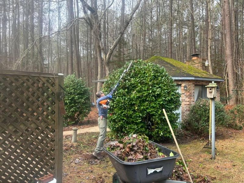 Leaf Removal 