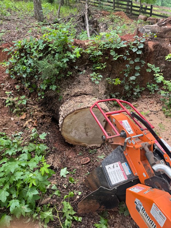 Stump Removal