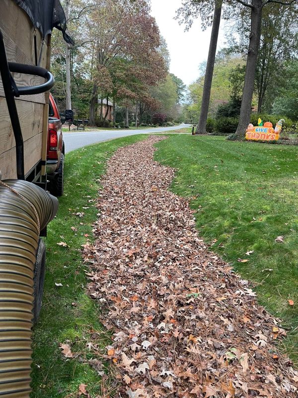 Fall and Spring Clean Up