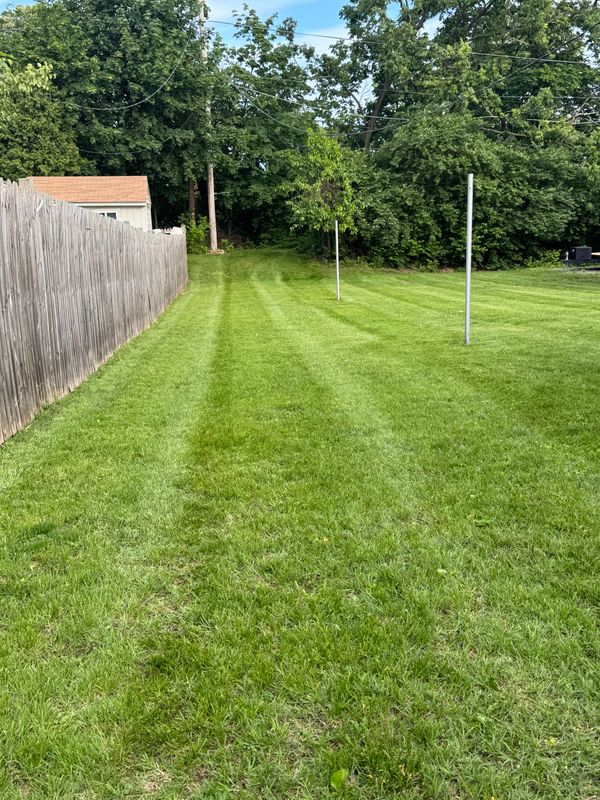 Property Maintenance