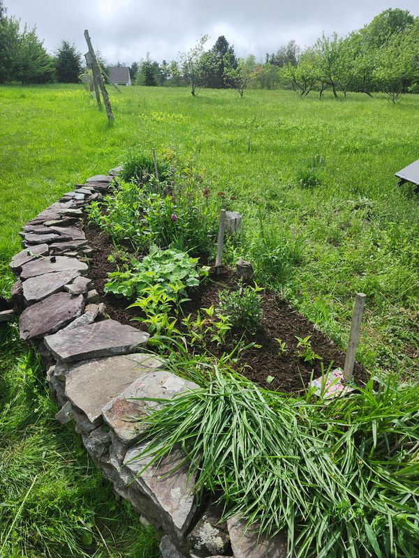 Patio Design & Construction