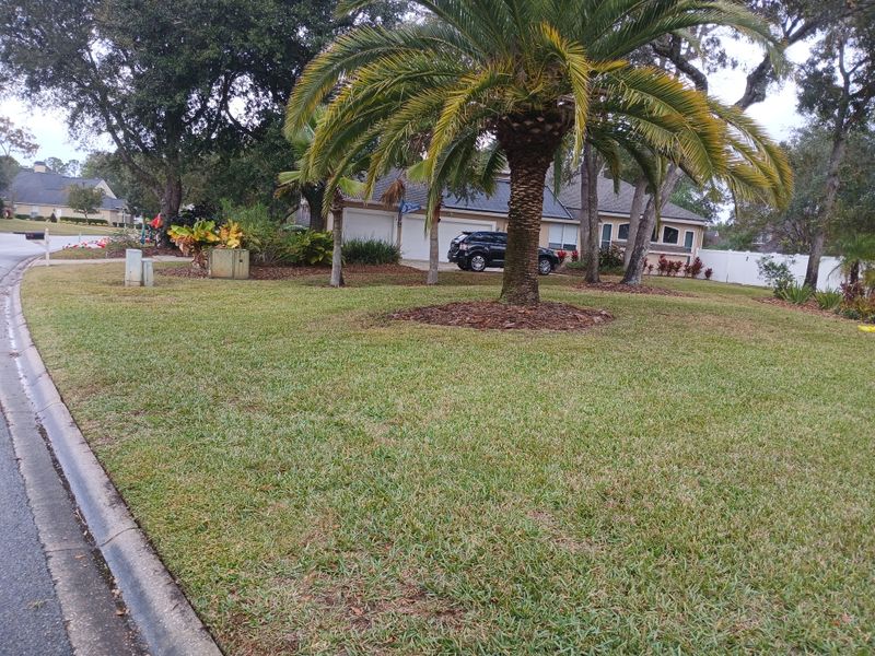 Shrub Trimming