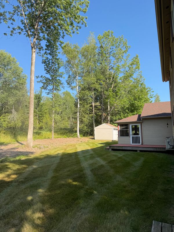 Lawn Maintenance