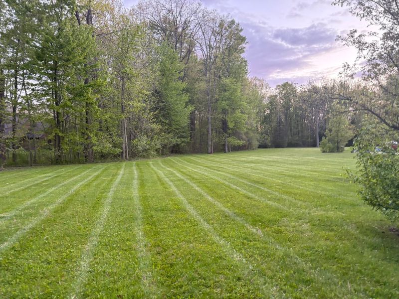 Lawn Maintenance