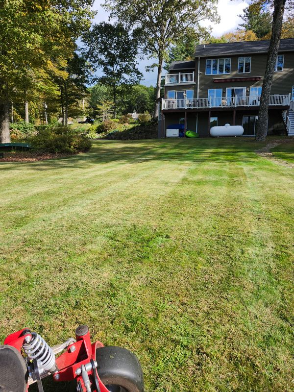 Lawn Mowing