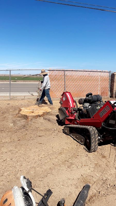 Stump Removal