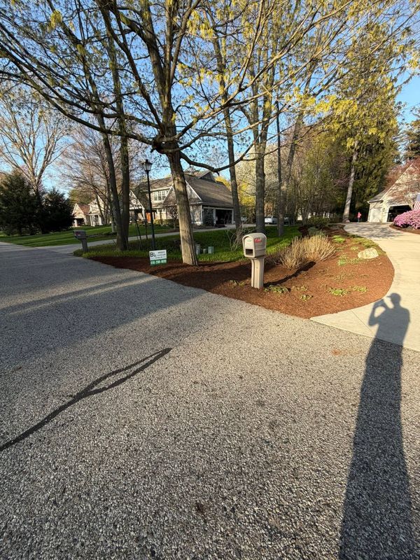 Beautiful Lawns