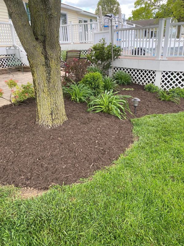 Landscaping
