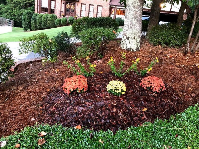 Plant & Shrub Installations