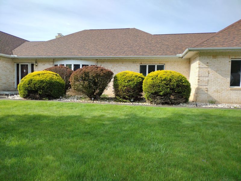 Shrub Trimming
