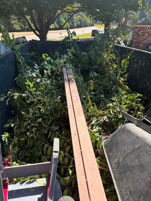 Land Clearing