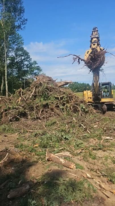 Forestry Mulching