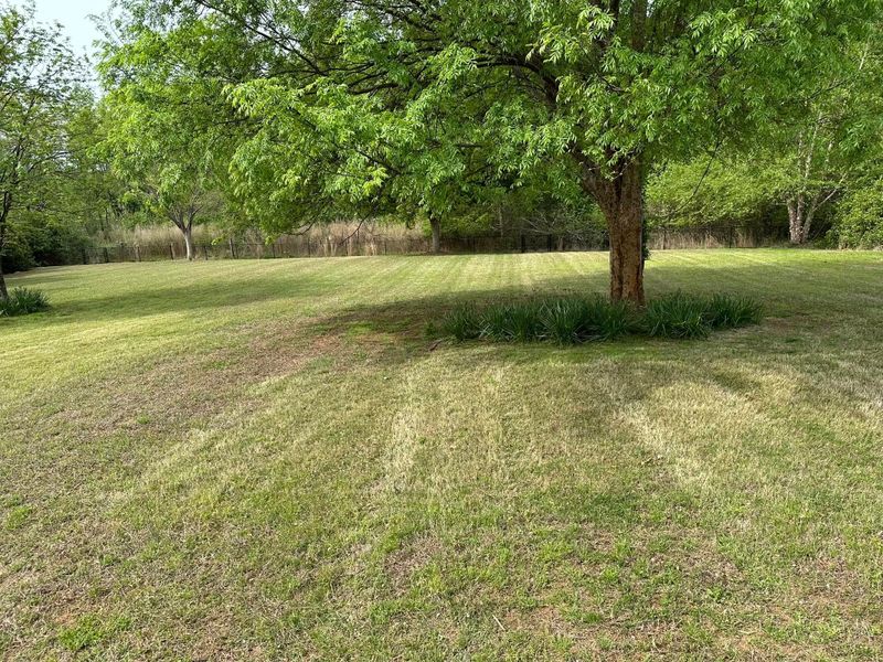 Mowing