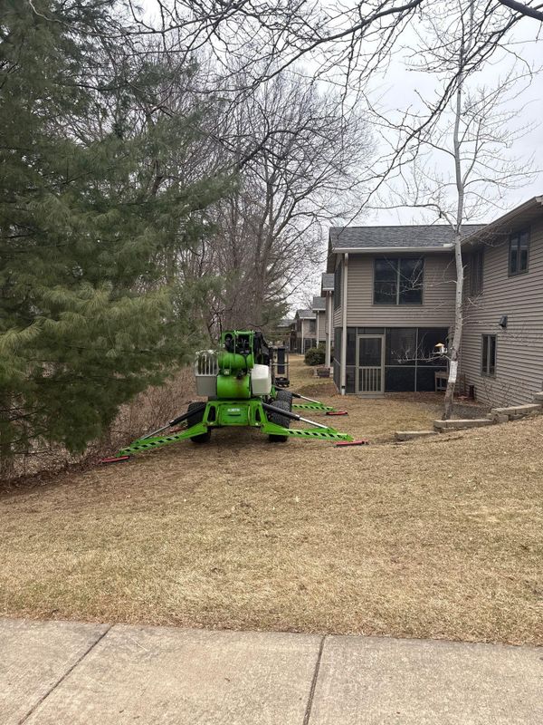 Tree Removal