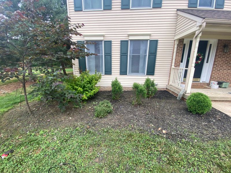 Landscaping