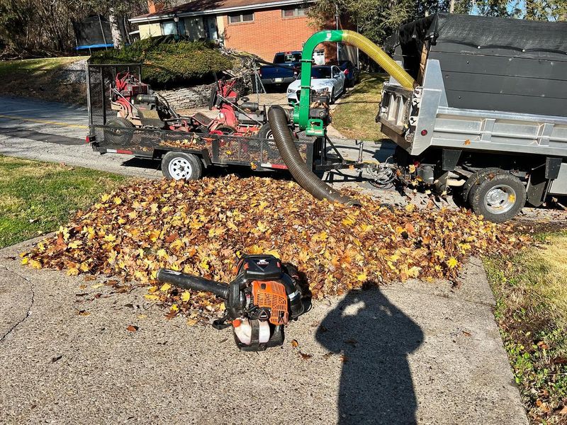 Fall and Spring Clean Up