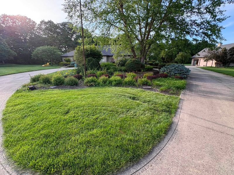Lawn Maintenance