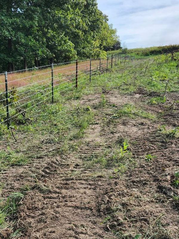 Fence Repair
