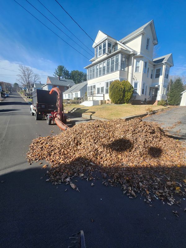 Fall Cleanups