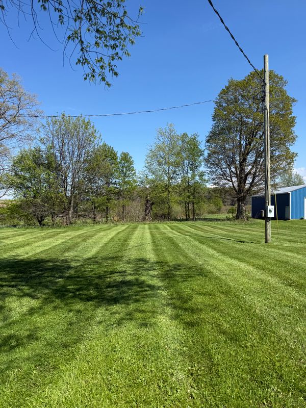 Lawn Maintenance