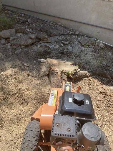 Stump Grinding