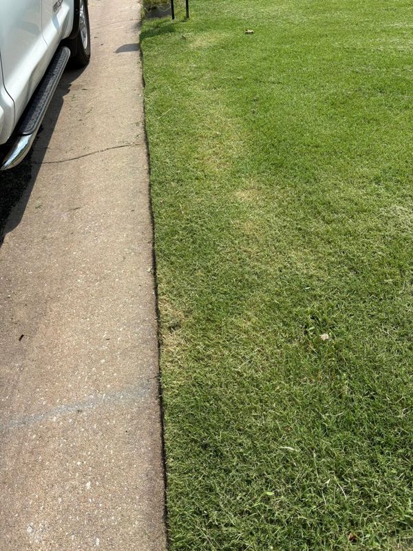 Lawn Maintenance