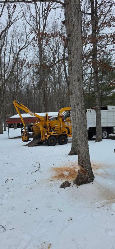 Stump Removal