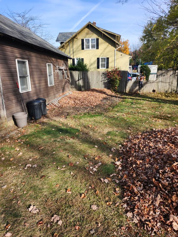 Fall Cleanups