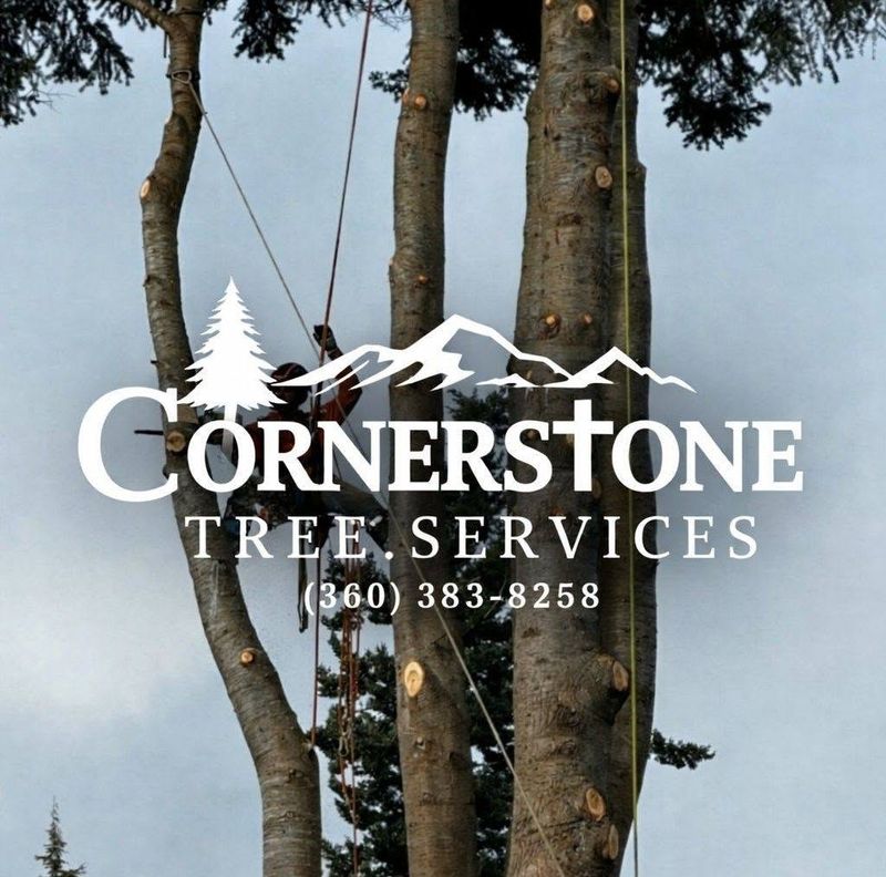 Tree Removal