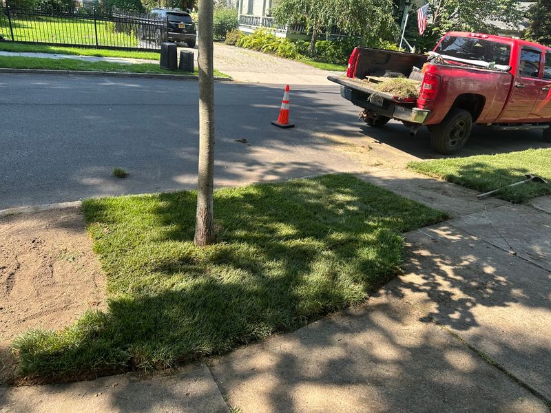 Sodding