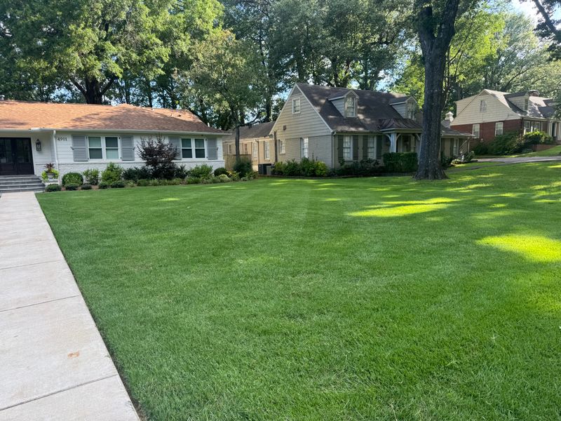 Lawn Mowing