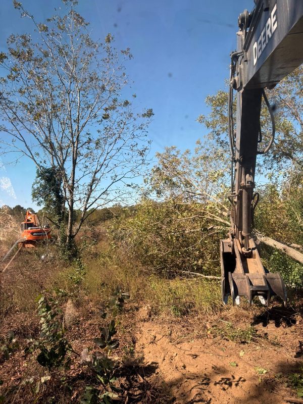 Land Clearing & Demolition