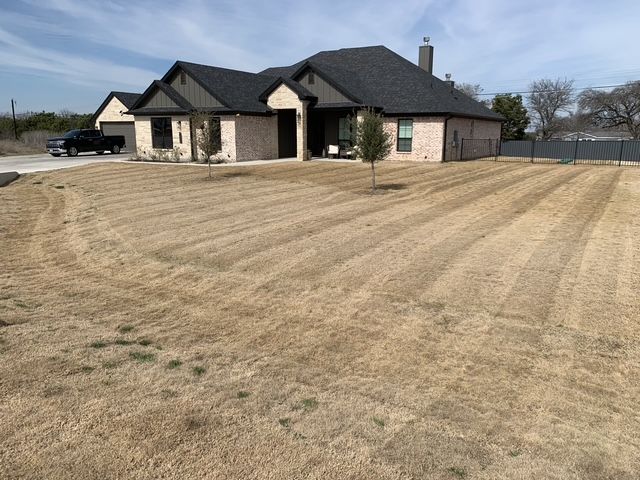 Lawn Maintenance