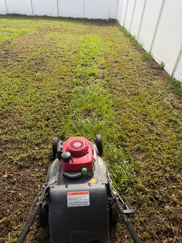 Lawn Maintenance