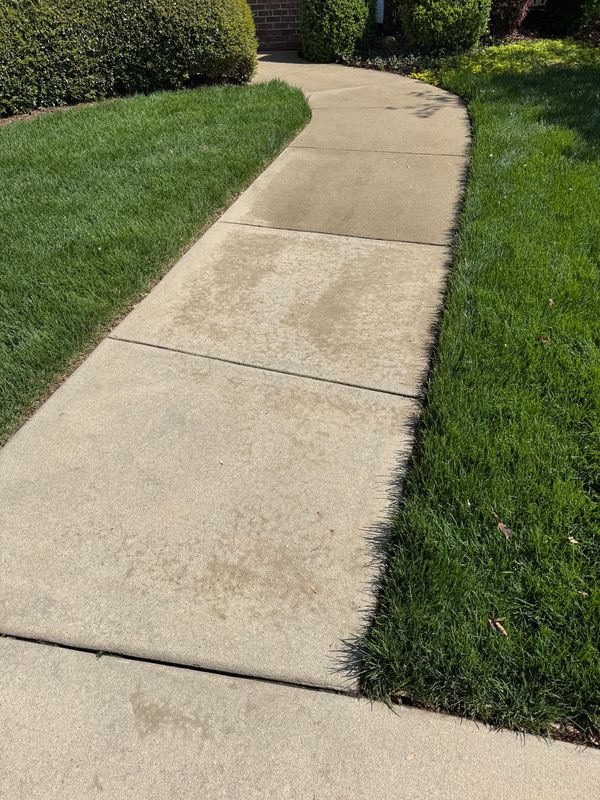 Driveway Cleaning gallery