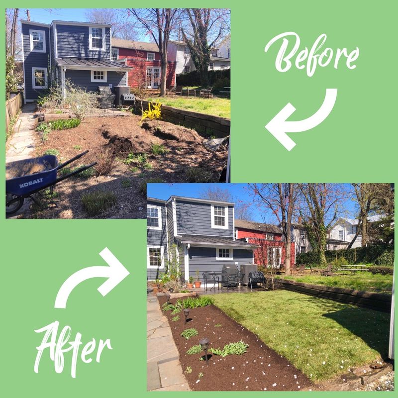 Sod Installation