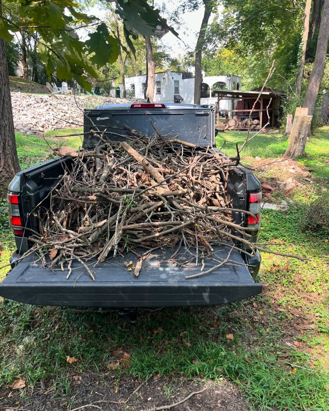 Junk Removal