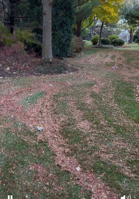 Lawn Aeration