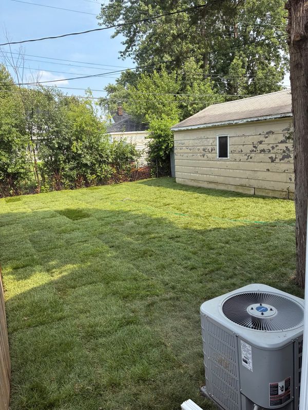 Lawn Seeding